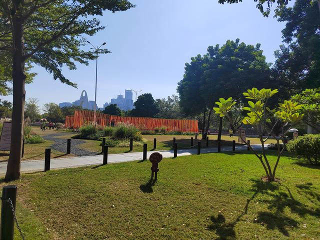 花城看花看灯饰