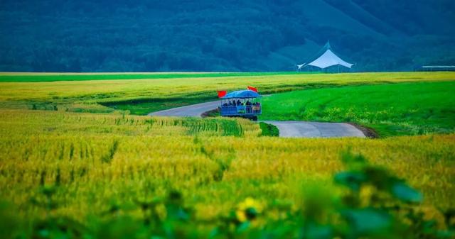 文旅高质量发展提升行动丨额尔古纳：深拓文旅融合路 精筑发展高质量引擎