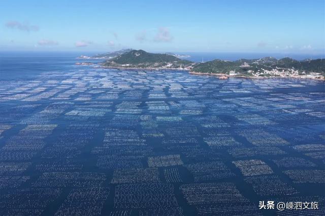 初冬最适合躺平的枸杞岛，用三天两晚邀你来村游！