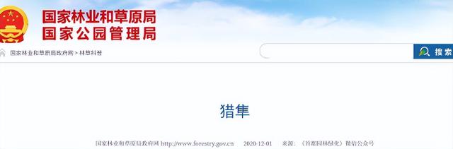 最高价值700万！17年河南农民在蒜地捡到一只，当地以前从未出现