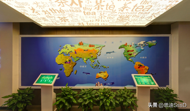 国家一级博物馆之124 中国茶叶博物馆