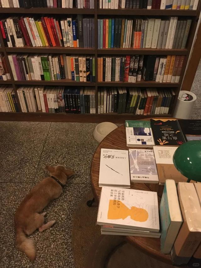 凉快又涨知识！重庆公交轨道可达的宝藏纳凉地→