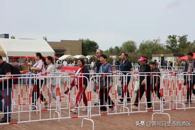 【情满双节游东营】黄河口生态旅游区 开启“人从众”模式 国庆精彩持续上演
