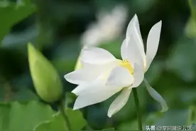 哭惨了！大学毕业三年了，还没找到工作图片