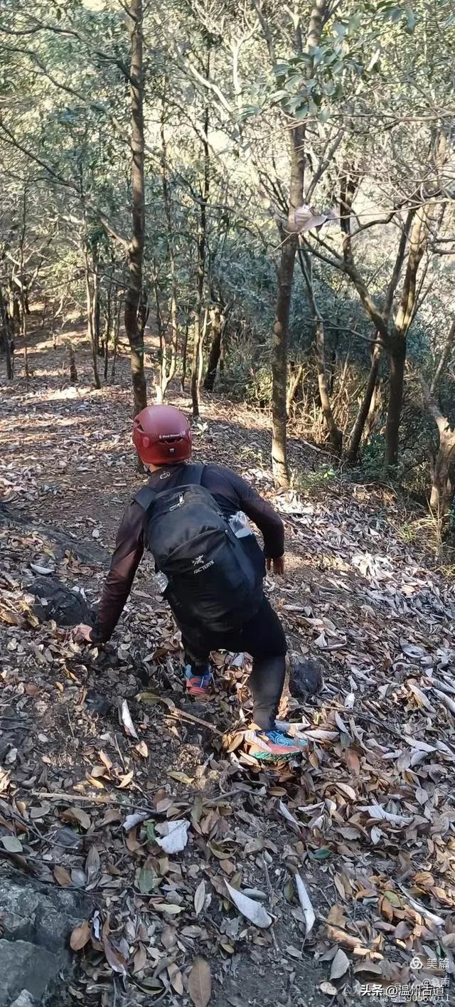 五次试走，终于揭开楠溪江源头永仙边界这条防火道的神秘面纱！