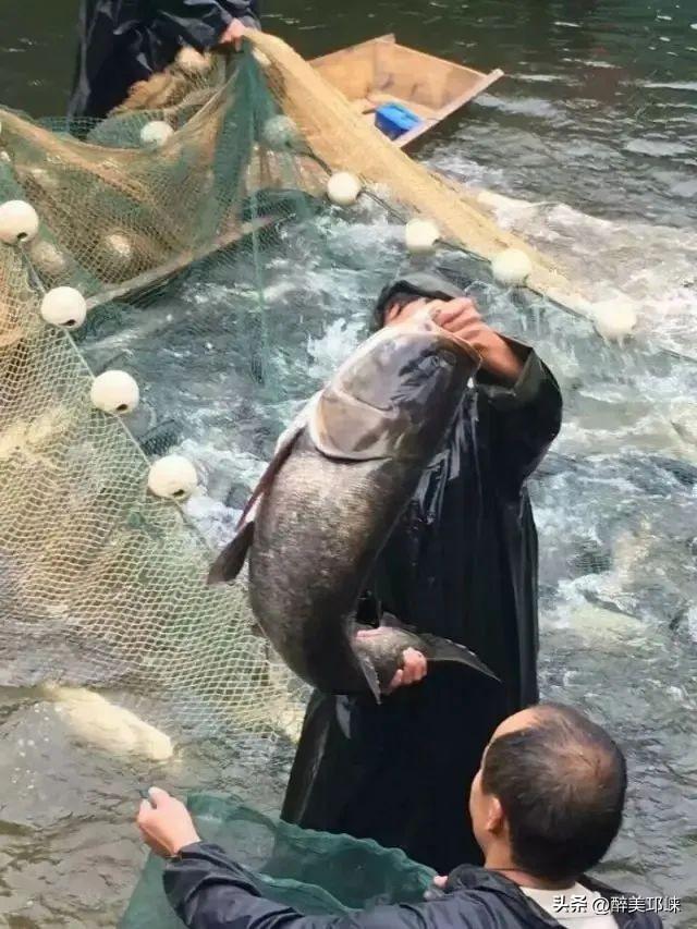 聆听邛崃丨竹溪湖：流淌在山水间的诗