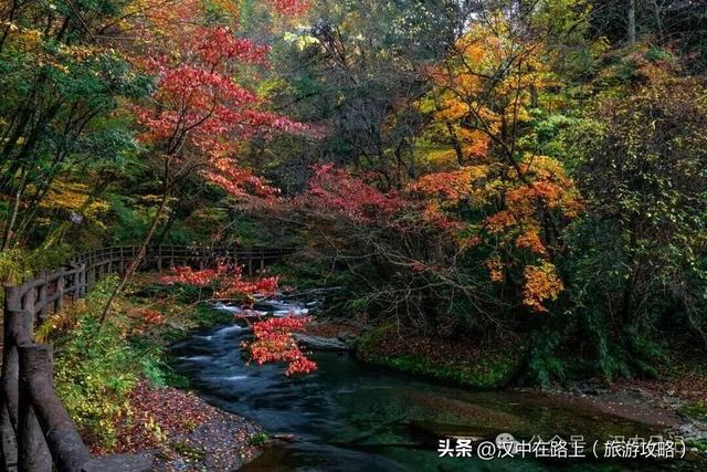 超期待！汉中黎坪红叶季即将开启，剧透一波 “红” 到心巴的美景！