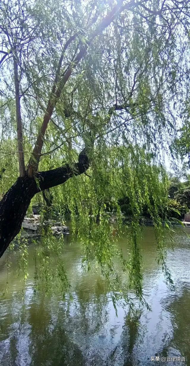 自拍影集（30）紫竹院公园风景绿水轻舟·上