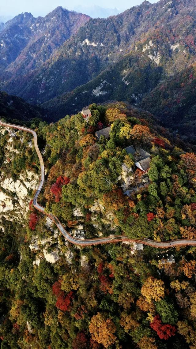 被渭南“暖”到了……