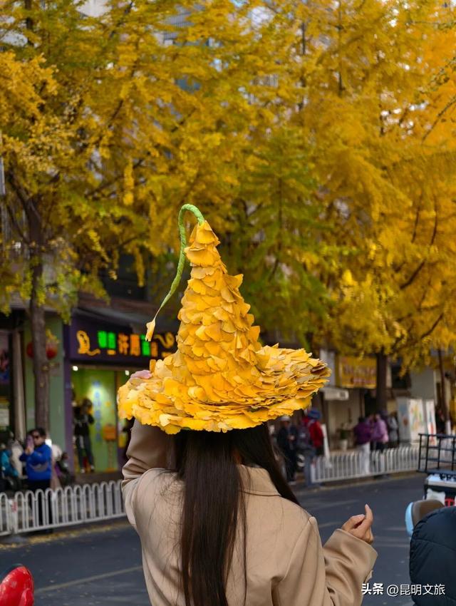 美爆！美爆！超全攻略！超出片！🤳昆明银杏黄金倒计时，抓紧时间冲~