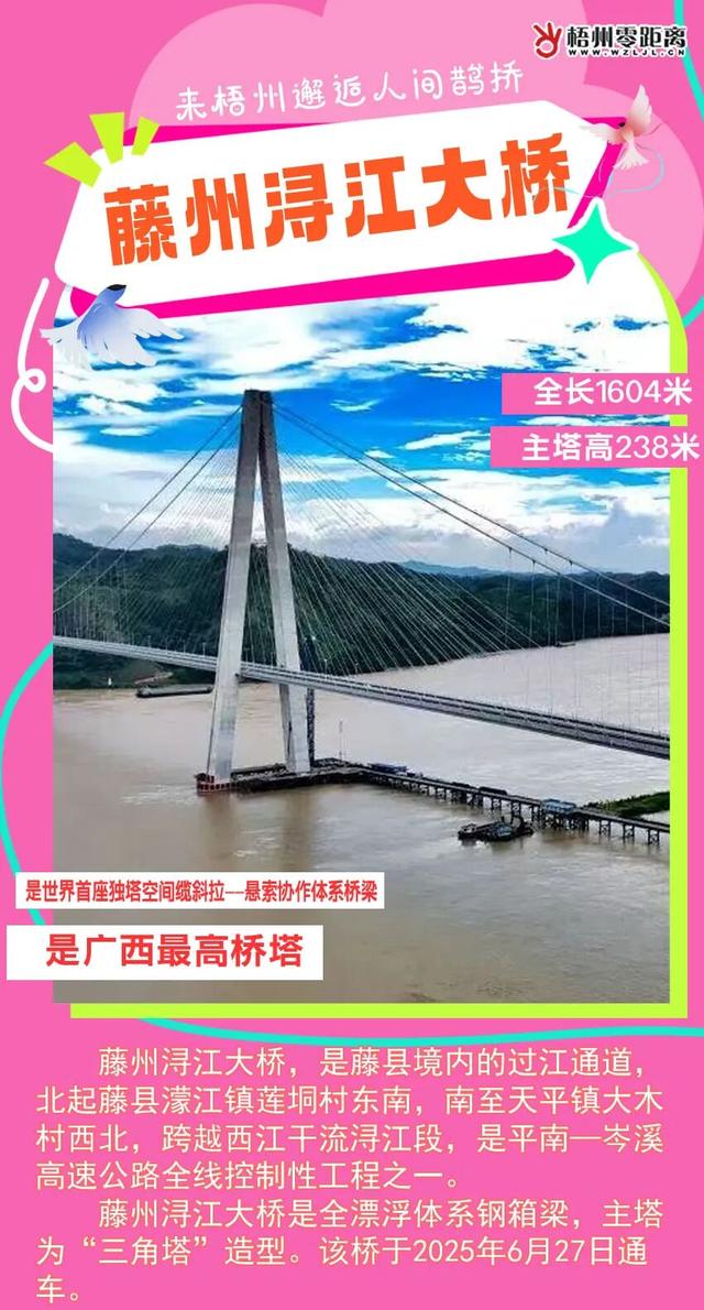 七夕，来梧州邂逅人间鹊桥