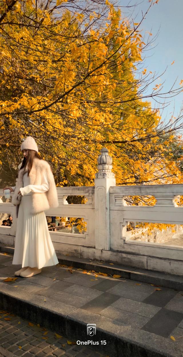 一加15体验：影摄北纬39度线的城市之秋