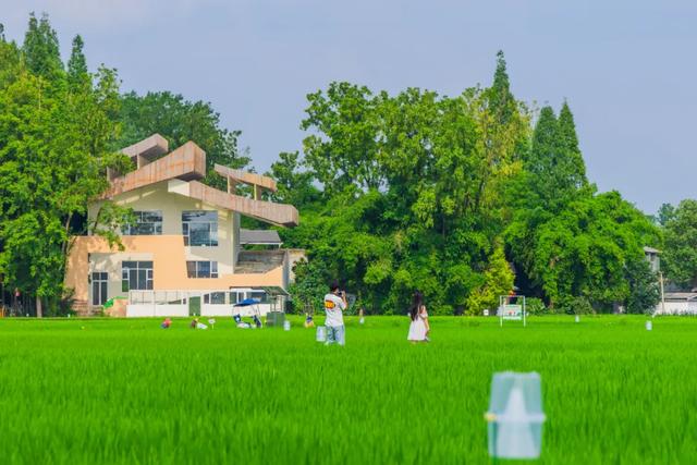 观世运 游温江 | 来温江必打卡的10件事！