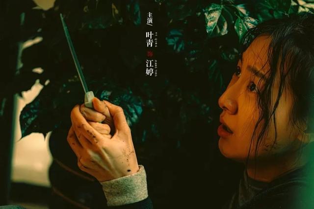 才播6集，就冲上飙升榜冠军，终于有值得熬夜狂追的黑马悬疑剧了