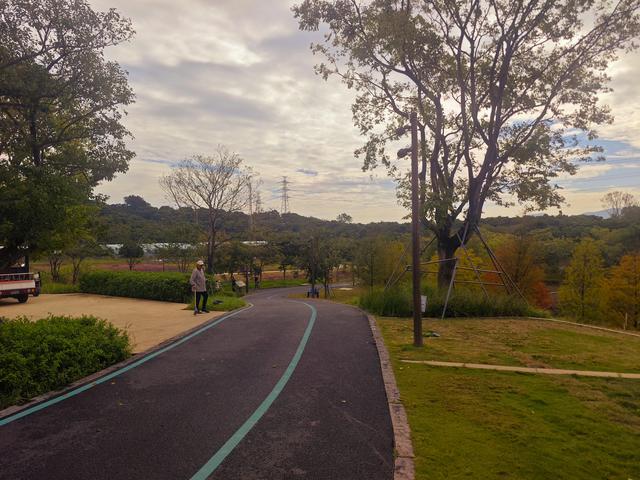 环西丽湖绿道骑行慢行随拍-动个好奇心