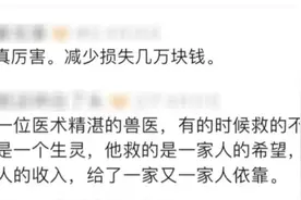 谁还没刷到过龙兽医？“根本停不下来！”图片