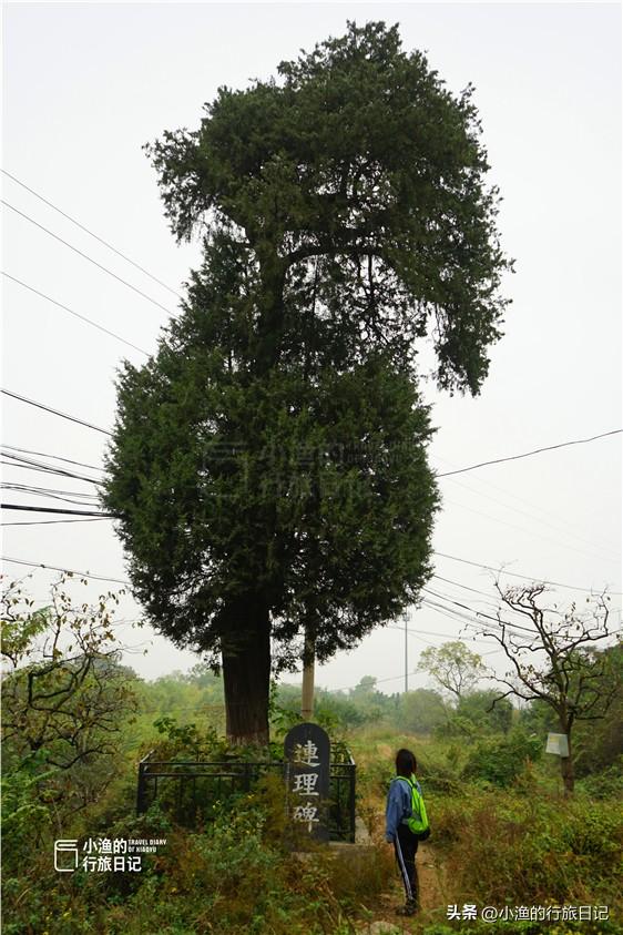 藏在秦岭的西安“城南第一桥”，背后的秘密知道的人不多