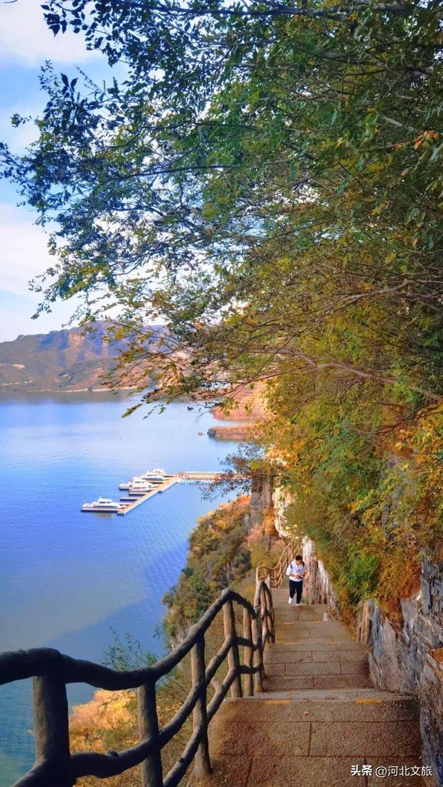 打卡保定“晒秋”小城，“松弛感”拉满