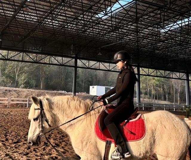 走进仙女湖隽恒度假村，解锁一站式度假新体验