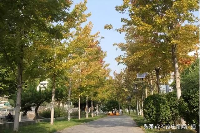 石家庄市城区赏秋最全指南，来啦！