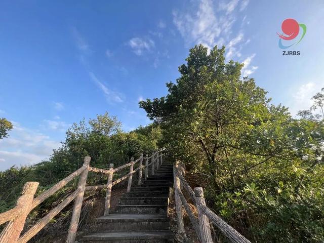 重阳节的正确打开方式！在湛江，用一场登高开启秋日旅程