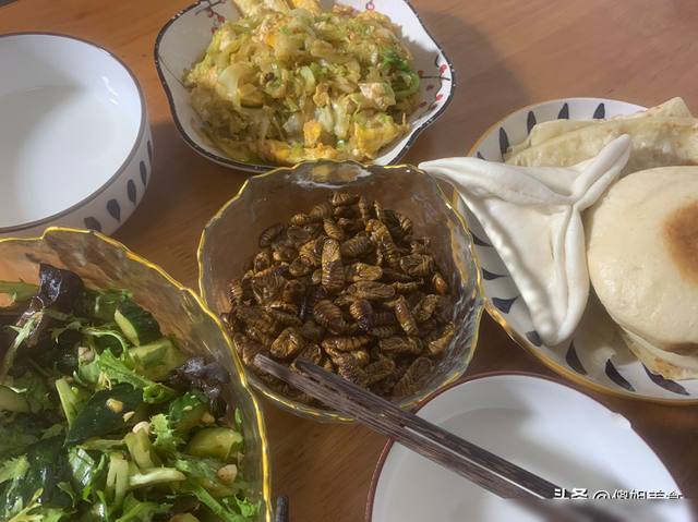 青岛母子3人晚餐，晒圈火了，网友：太寒碜了，猪看了都摇头！