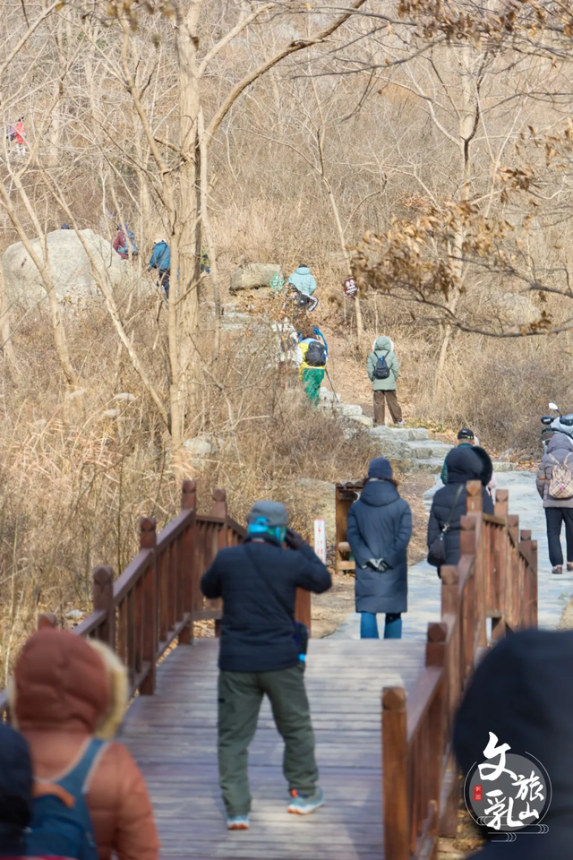 近百名韩国游客共赴乳山多福山