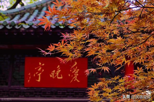 长沙河西火啦，全因为这些，万万没想到！