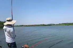 《野钓钩型学》伊势尼/新关东/千又的实战选用逻辑图片