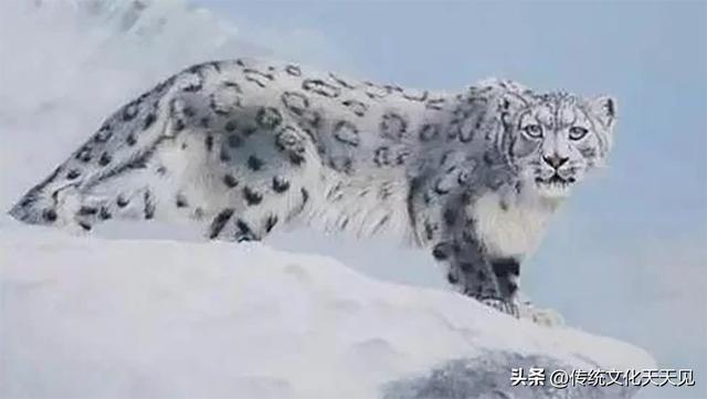 雅鲁藏布江建水电站是这两天最大的热点