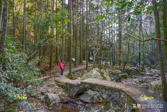 影记 | 衢州钱江源国家森林公园