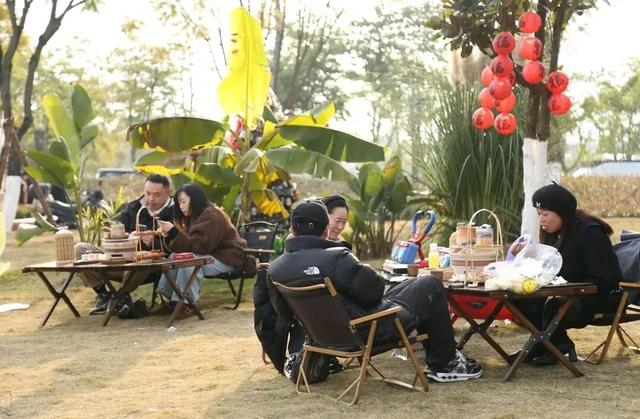 这个元旦假期来成都熊猫国际旅游度假区就对了~ | 成华融媒