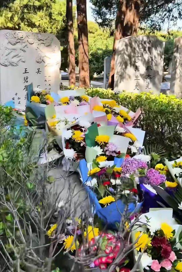 沉默的荣耀》播完后，吴石墓前鲜花成海，朱枫墓地却冷冷清清