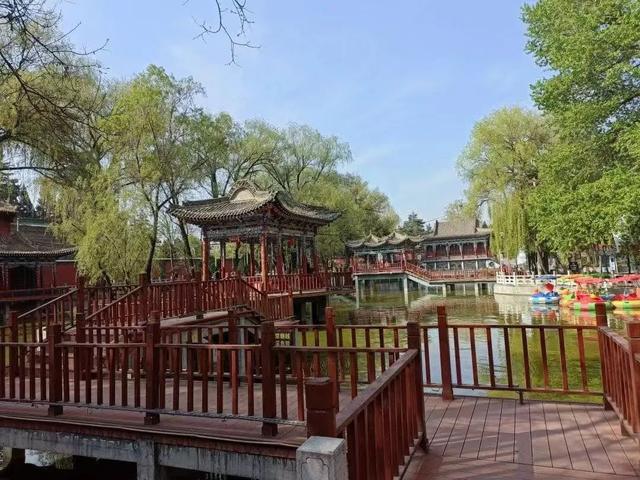 从晨风到星光，在临夏邂逅夏日“小确幸”