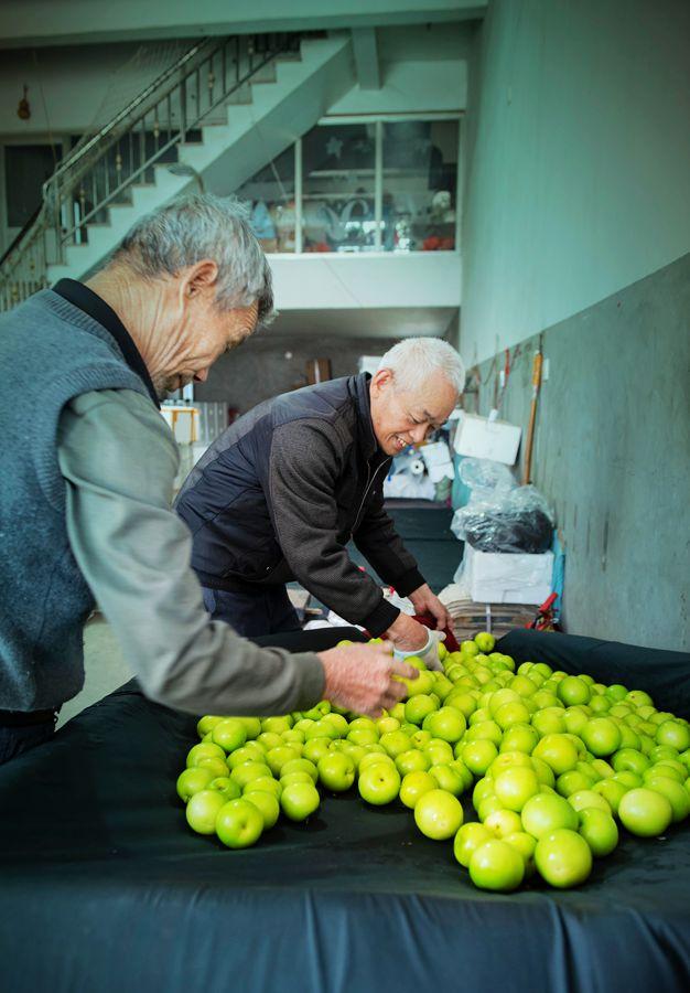 美丽中国行发现之旅：古楼村的红与甜