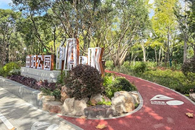 上海市中心又一公园将24小时开放！坐落于外滩和城隍庙之间，宝藏机位藏不住了