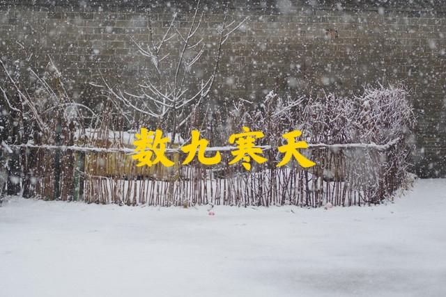 2026年“数九”时间表来了！冬天到底冷不冷，答案来了！