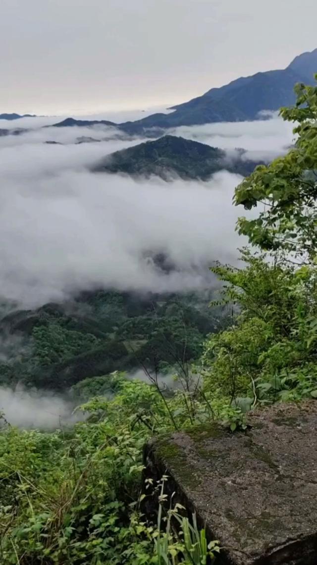 牛蹄岭雾中寻梦-陕西安康红色旅游一