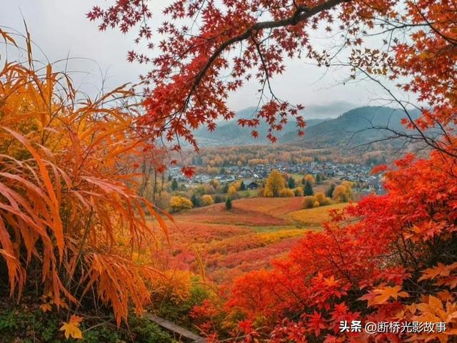 翻篇，是为了遇见更好的风景