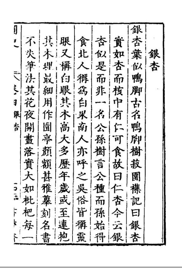 花木春秋322：银杏 | 植物界的活化石