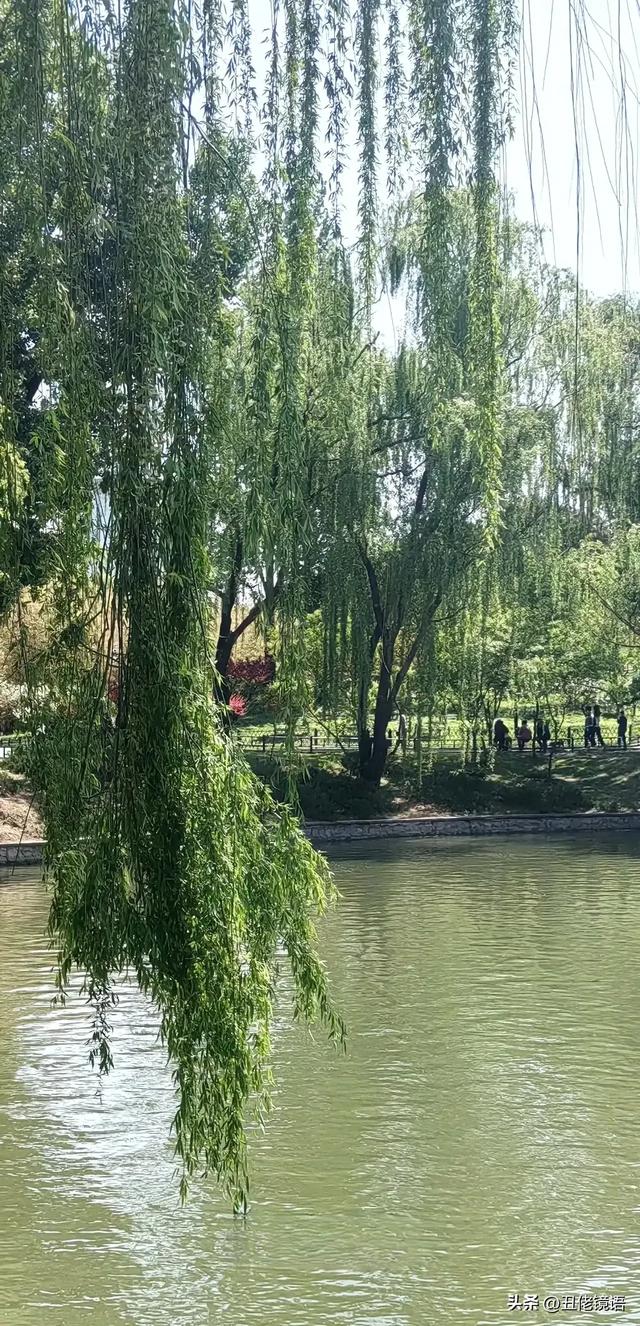 自拍影集（30）紫竹院公园风景绿水轻舟·上