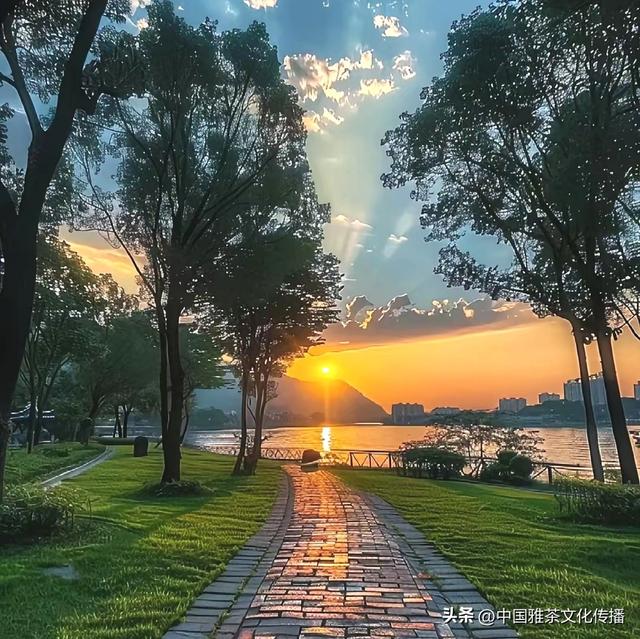三江烟雨一壶茶