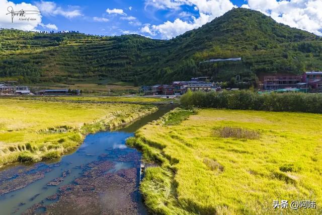 泸沽湖草海差点把我看吐了,到处是油画般的场景,能不能别这么美