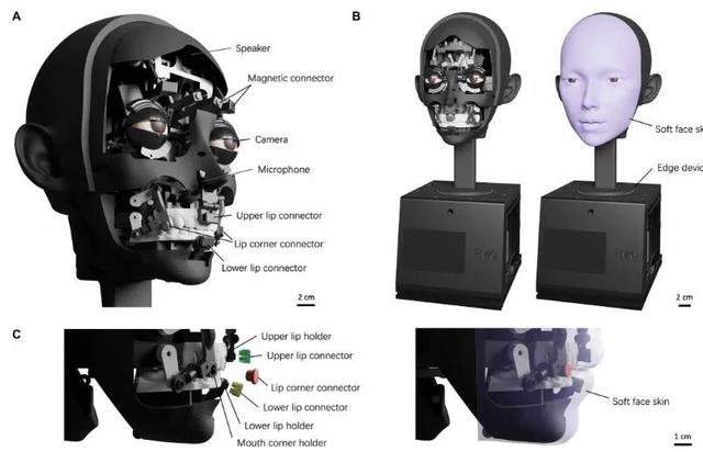 帅过男爱豆的机器人未来2万能拿下？女玩家攒钱把电子老公赘回家