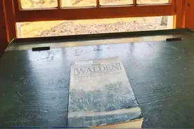 《瓦尔登湖》里的妙趣，小小动物来诠释图片