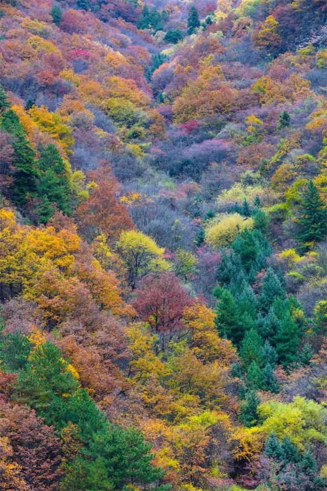 11月旅行地推荐！这13个赏秋地无对手，还藏着国内四大绝美秋色