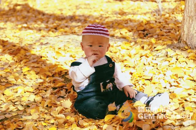 收藏！格尔木秋日美景，这份视觉盛宴千万别错过