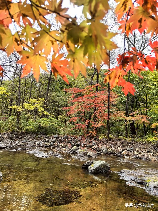 2025辽宁赏秋之旅日记(2)——游览丹东蒲石河森林公园