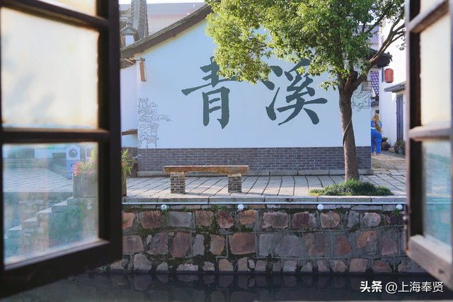 藏在上海的千年水乡！青溪老街一日游攻略，逛吃玩全解锁！