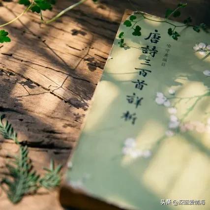 真正的情人，从不是一时心动	，而是有情有爱，牵挂一生